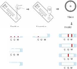 Dengue IgM and/or IgG Rapid Test\Dengue Combo